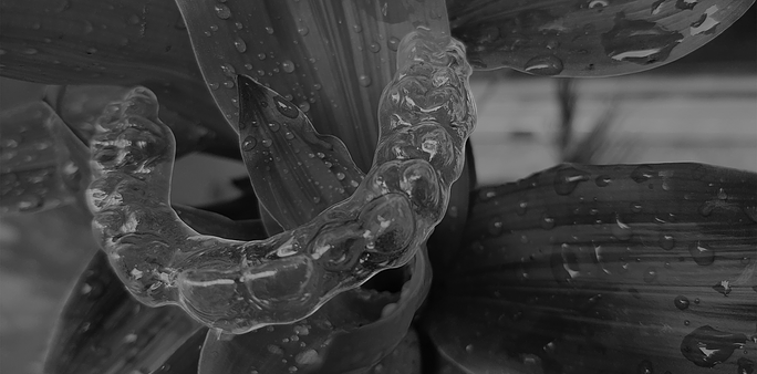 Build Your Dental Brand with Ensmile Private Label Clear Aligners